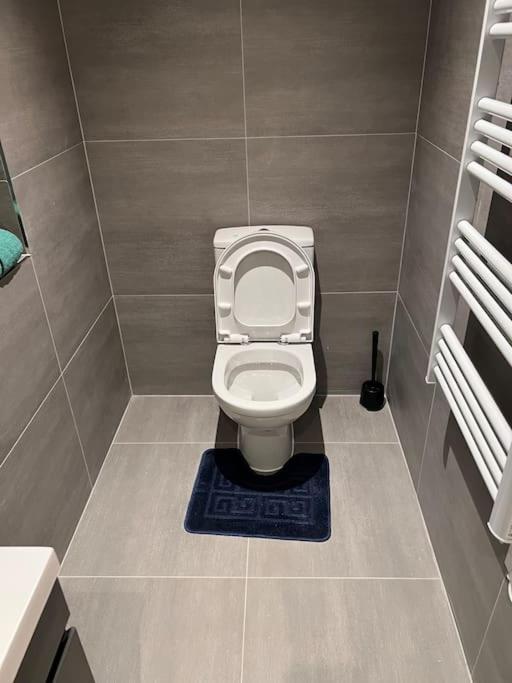 009- Studio Apartment In Ealing F5 المظهر الخارجي الصورة